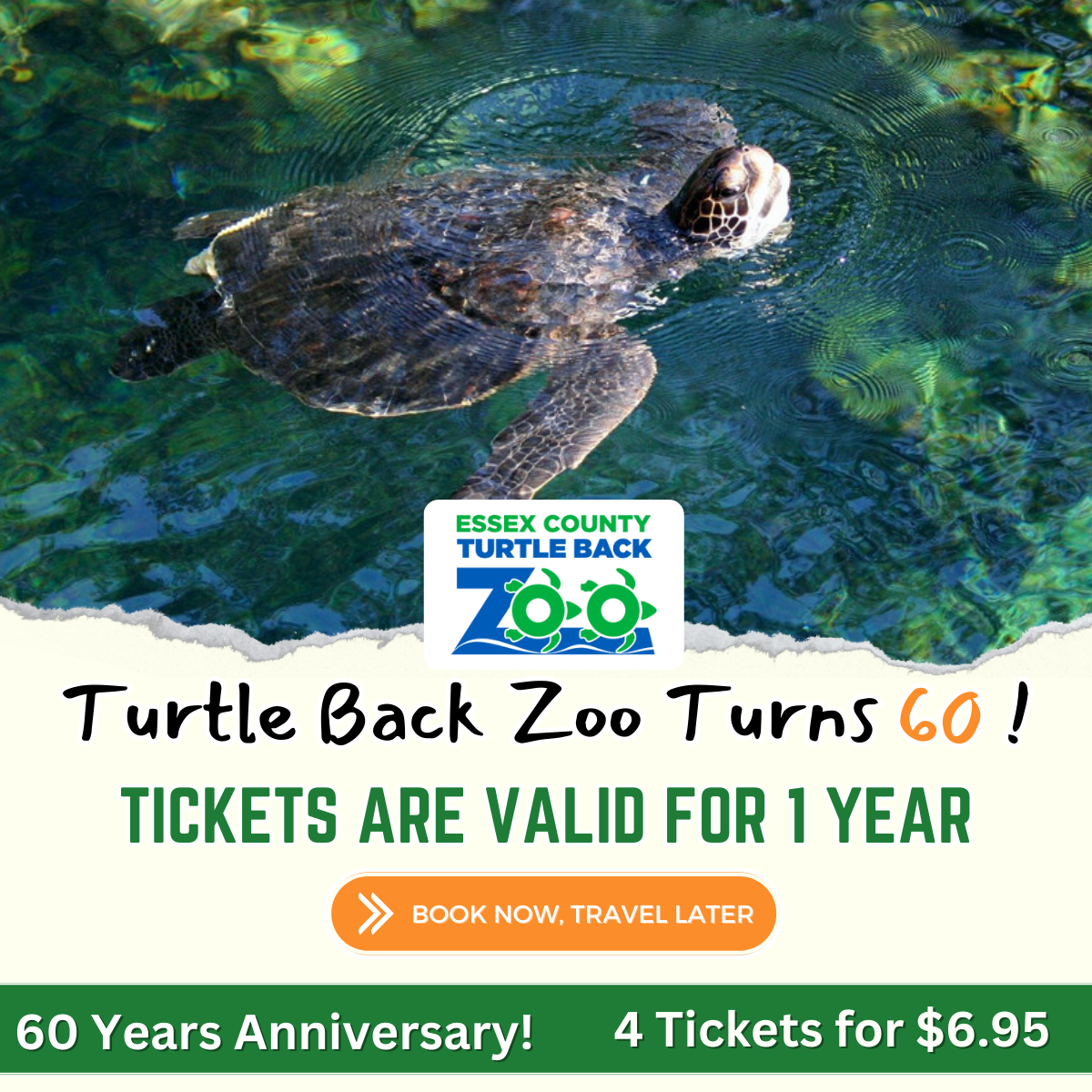 4 Turtle Back Zoo Tickets